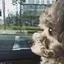 Rのプロフィール画像