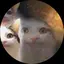さつきのプロフィール画像