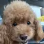 こうちゃんのプロフィール画像