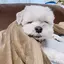 なみそのプロフィール画像