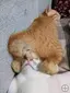 むっちゃんのプロフィール画像