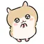 ののプロフィール画像