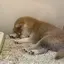 あっきーのプロフィール画像