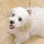 まりのプロフィール画像