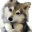 ひのプロフィール画像
