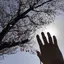 kahoのプロフィール画像