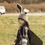 りちゃのプロフィール画像