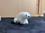 あおのプロフィール画像