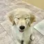 ちゃんちゃんのプロフィール画像