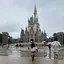 ちょのプロフィール画像