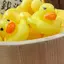 pomのプロフィール画像