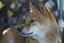 みかんのプロフィール画像