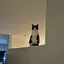 ORのプロフィール画像