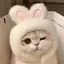 はなのプロフィール画像