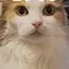 響のプロフィール画像