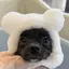 riiのプロフィール画像