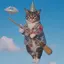 akichaのプロフィール画像
