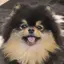 SORAのプロフィール画像