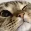 あああのプロフィール画像