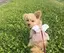 Ayaのプロフィール画像