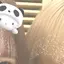 うのプロフィール画像