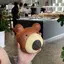 allyのプロフィール画像