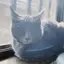 さきのプロフィール画像