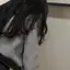 かほのプロフィール画像