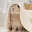 さきのプロフィール画像