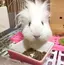 優菜のプロフィール画像