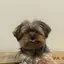 はるなのプロフィール画像