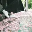 あやねのプロフィール画像