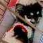 ナオのプロフィール画像