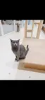 侑のプロフィール画像