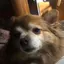ゆいなのプロフィール画像