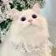 麗偉のプロフィール画像