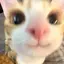 これれいあのプロフィール画像