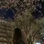 りんかのプロフィール画像