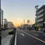 シンゴリラのプロフィール画像