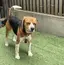 makiのプロフィール画像