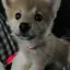 さのプロフィール画像