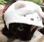 tomomiのプロフィール画像