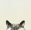 はーやのプロフィール画像