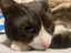 り。のプロフィール画像