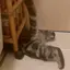 みかなのプロフィール画像