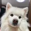 ひーくんのプロフィール画像