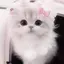 𝓗 .のプロフィール画像