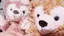 結衣のプロフィール画像