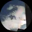 きよのプロフィール画像