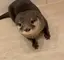 ずくのプロフィール画像